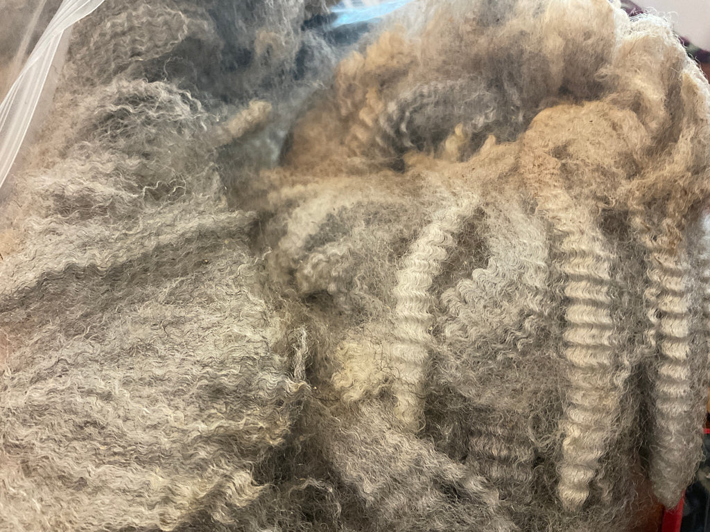 Raw, Unprocessed Fleece
