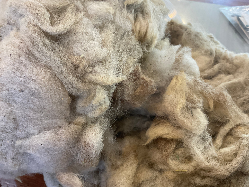 Raw, Unprocessed Fleece