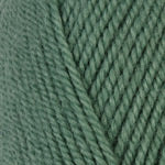 Encore Worsted