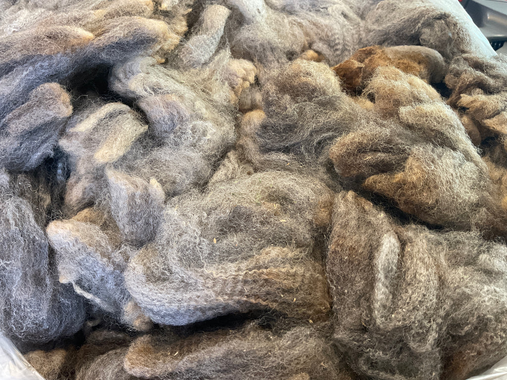 Raw, Unprocessed Fleece